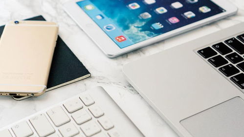 網(wǎng)上商城購物系統(tǒng)的建設問題與技巧